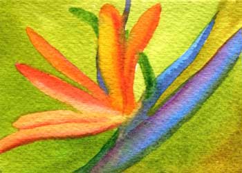 "Tropical Delight" by Susan Nitzke, Cottage Grove WI - Watercolor